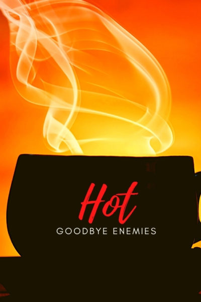HOT – Goodbye Enemies
